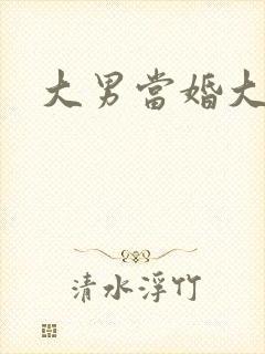 大男当婚大结局