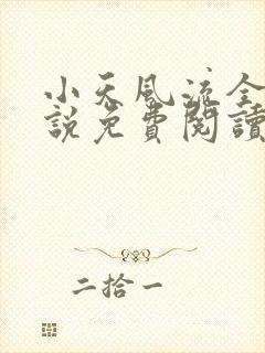 小天风流全集小说免费阅读