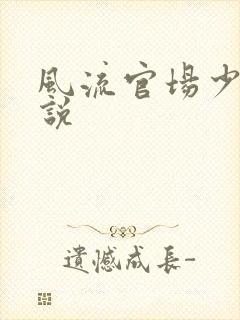 风流官场少妇小说封面