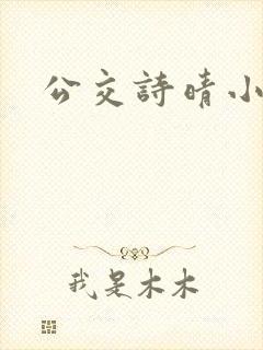 公交诗晴小说封面