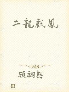 二龙戏凤