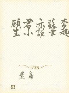 顾君亦苏杳国防生小说笔趣阁免费