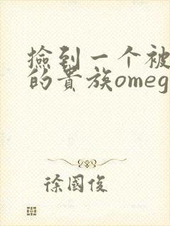 捡到一个被抹布的贵族omega