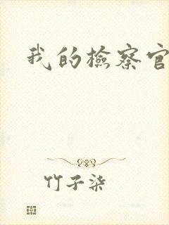 我的检察官先生