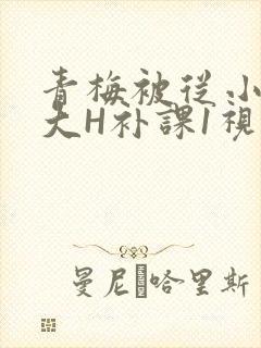 青梅被从小摸到大H补课1视频