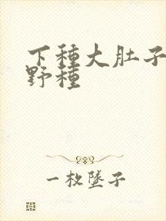 下种大肚子怀孕野种
