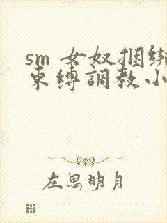 sm 女奴捆绑束缚调教小说