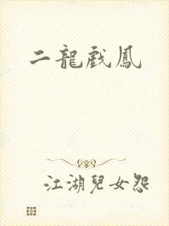 二龙戏凤