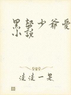 黑帮少爷爱上我小说