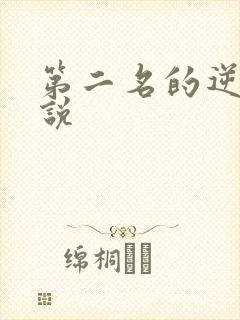 第二名的逆袭小说