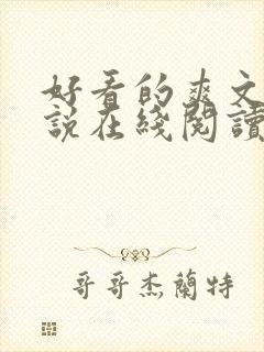 好看的爽文轻小说在线阅读