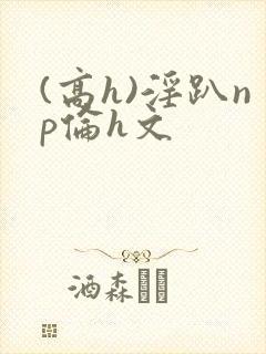 (高h)淫趴np伦h文