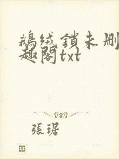 鹅绒锁未删除笔趣阁txt