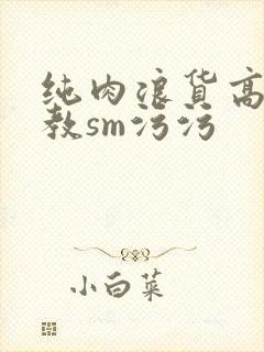 纯肉浪货高h调教sm污污