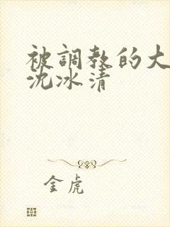 被调教的大小姐沈冰清