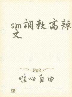 sm调教高辣h文封面