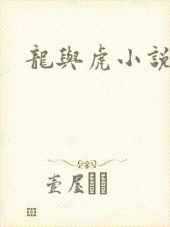 龙与虎小说