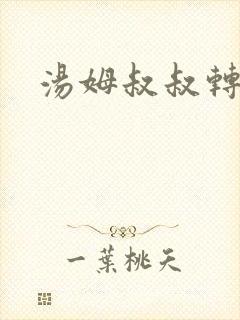 汤姆叔叔转接口