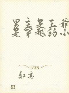 男主是王爷女主是穿越的小说