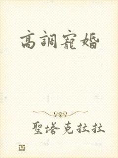 高调宠婚