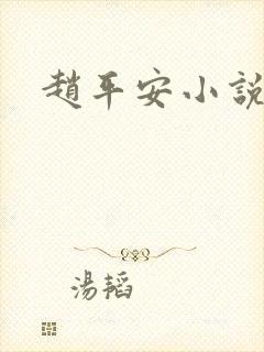 赵平安小说主角