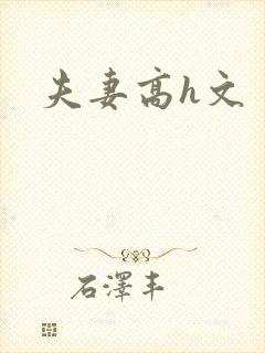 夫妻高h文