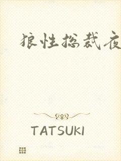 狼性总裁夜欢宠封面