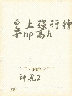 皇上强行糟蹋太子np高h