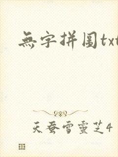 无字拼图txt封面