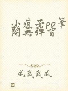 小疯子po笔趣阁无弹窗封面