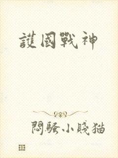 护国战神封面