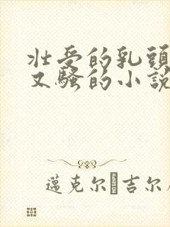 壮受的乳头又大又骚的小说