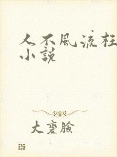 人不风流枉少年小说