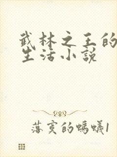 武林之王的退隐生活小说