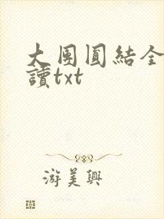 大团圆结全文阅读txt