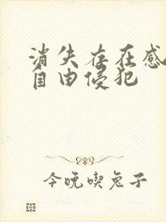 消失存在感消失自由侵犯