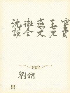 沈微燕王穿越小说全文免费阅读