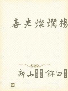 春光灿烂杨家将