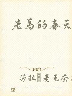 老马的春天敏静封面