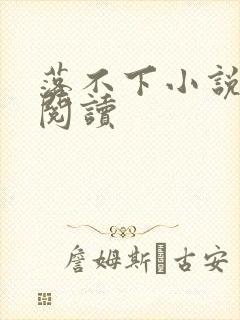 落不下小说免费阅读