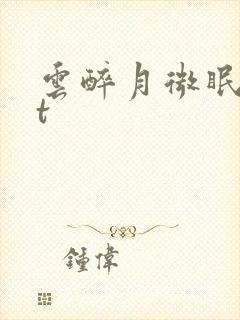 云醉月微眠txt封面