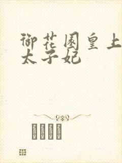 御花园皇上撞着太子妃