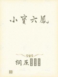 小宝六凤封面