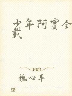 少年阿宾全集下载