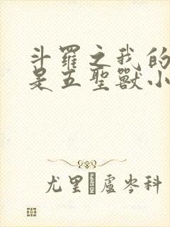 斗罗之我的武魂是五圣兽小说