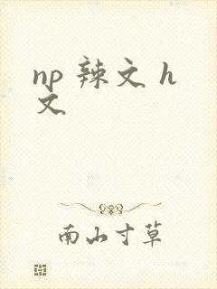 np 辣文 h文封面