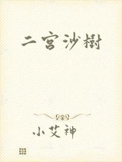 二宫沙树封面