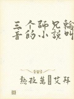 三个师兄轮流上音的小说叫什么