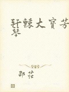 轩辕大宝芳菲雅琴封面