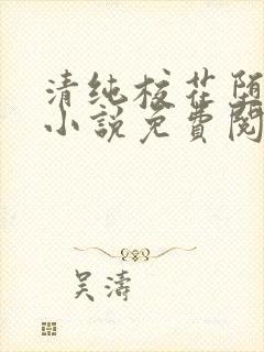 清纯校花堕落记小说免费阅读